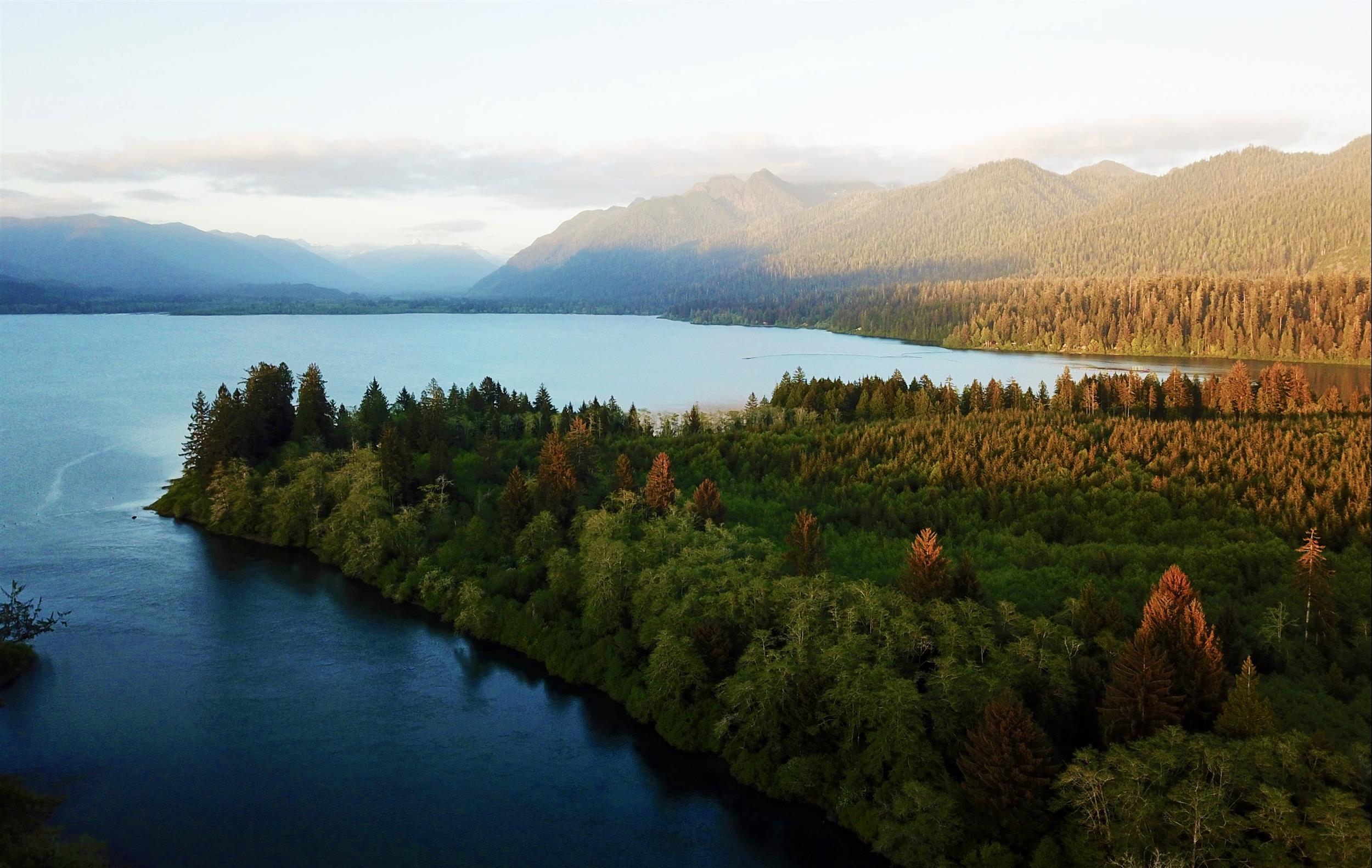 The view from our lodging at Lake Quinault, WA